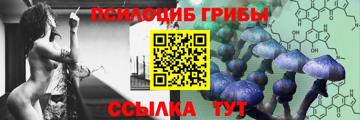 Александров  Галлюциногенные грибы MAGIC MUSHROOMS  купить  сайты  Вход с VPN 