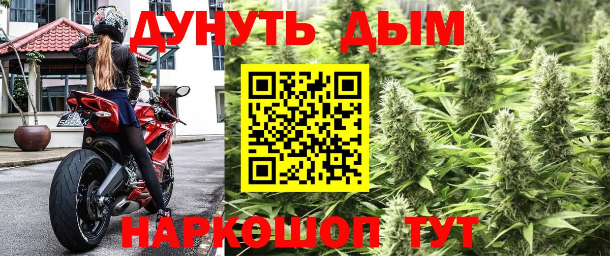 Конопля Amnesia Александров